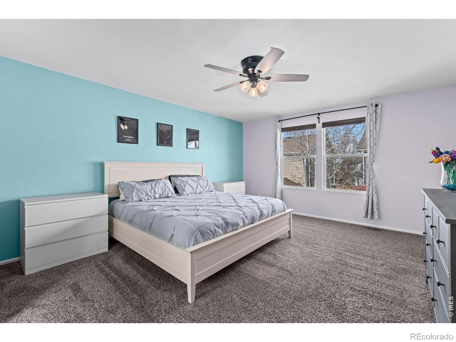 MLS Image #12 for 10679  durango place,longmont, Colorado