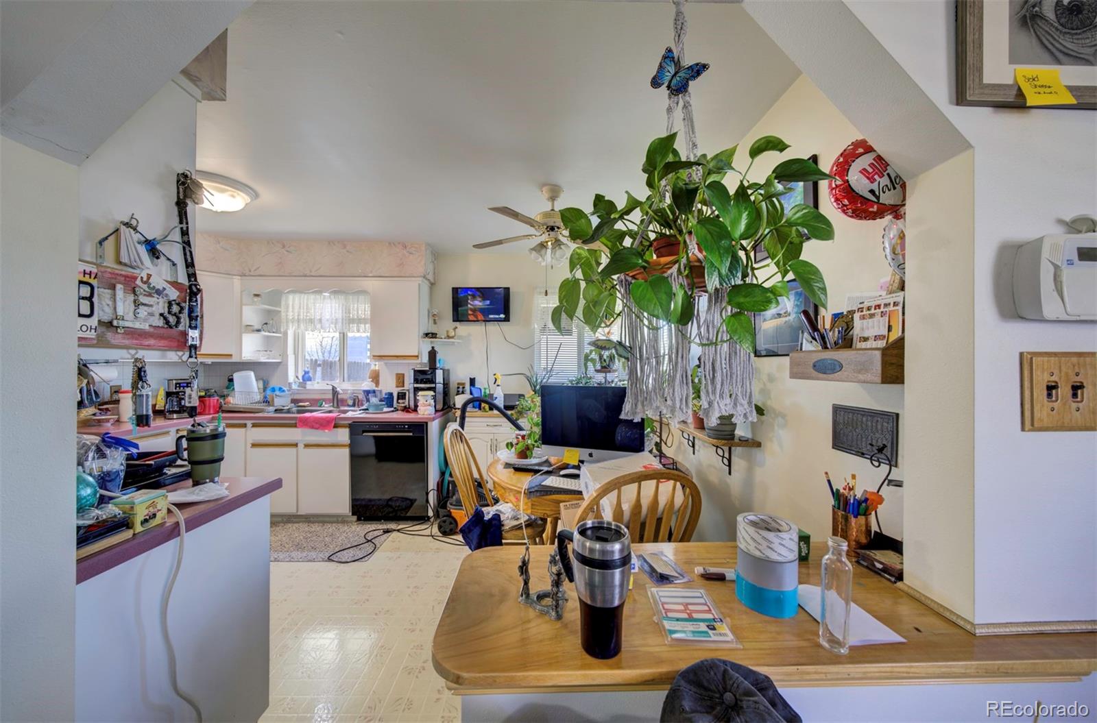 MLS Image #11 for 980 s canosa court,denver, Colorado