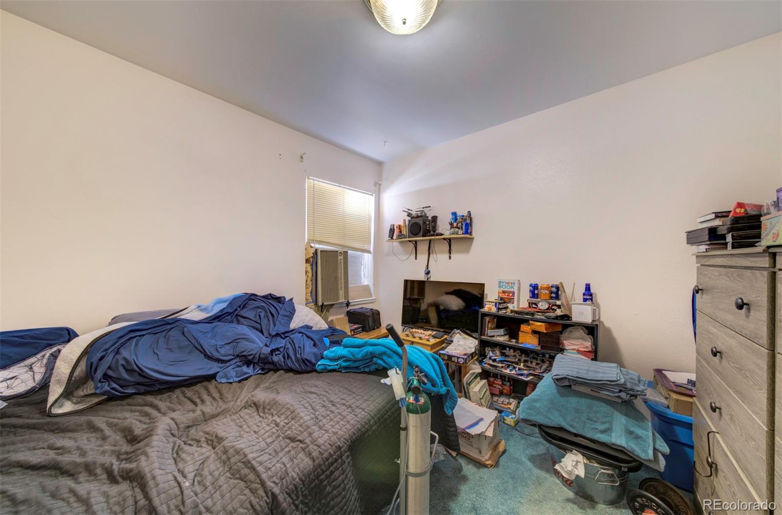 MLS Image #34 for 980 s canosa court,denver, Colorado