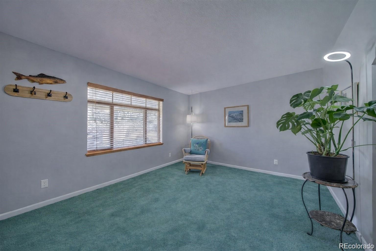 MLS Image #9 for 980 s canosa court,denver, Colorado