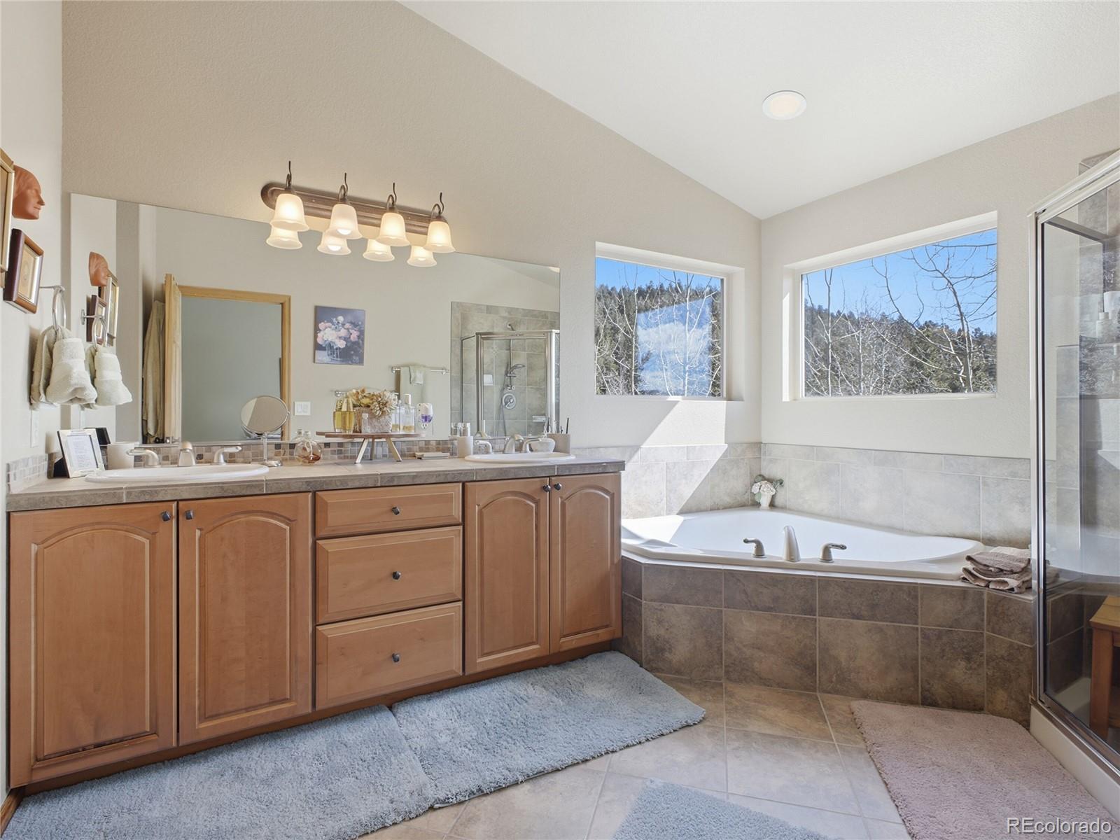 MLS Image #10 for 11593  braun way,conifer, Colorado