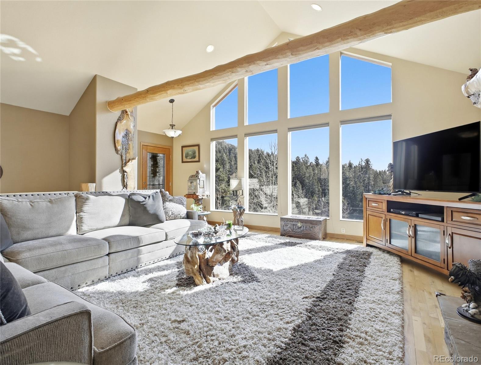 MLS Image #8 for 11593  braun way,conifer, Colorado