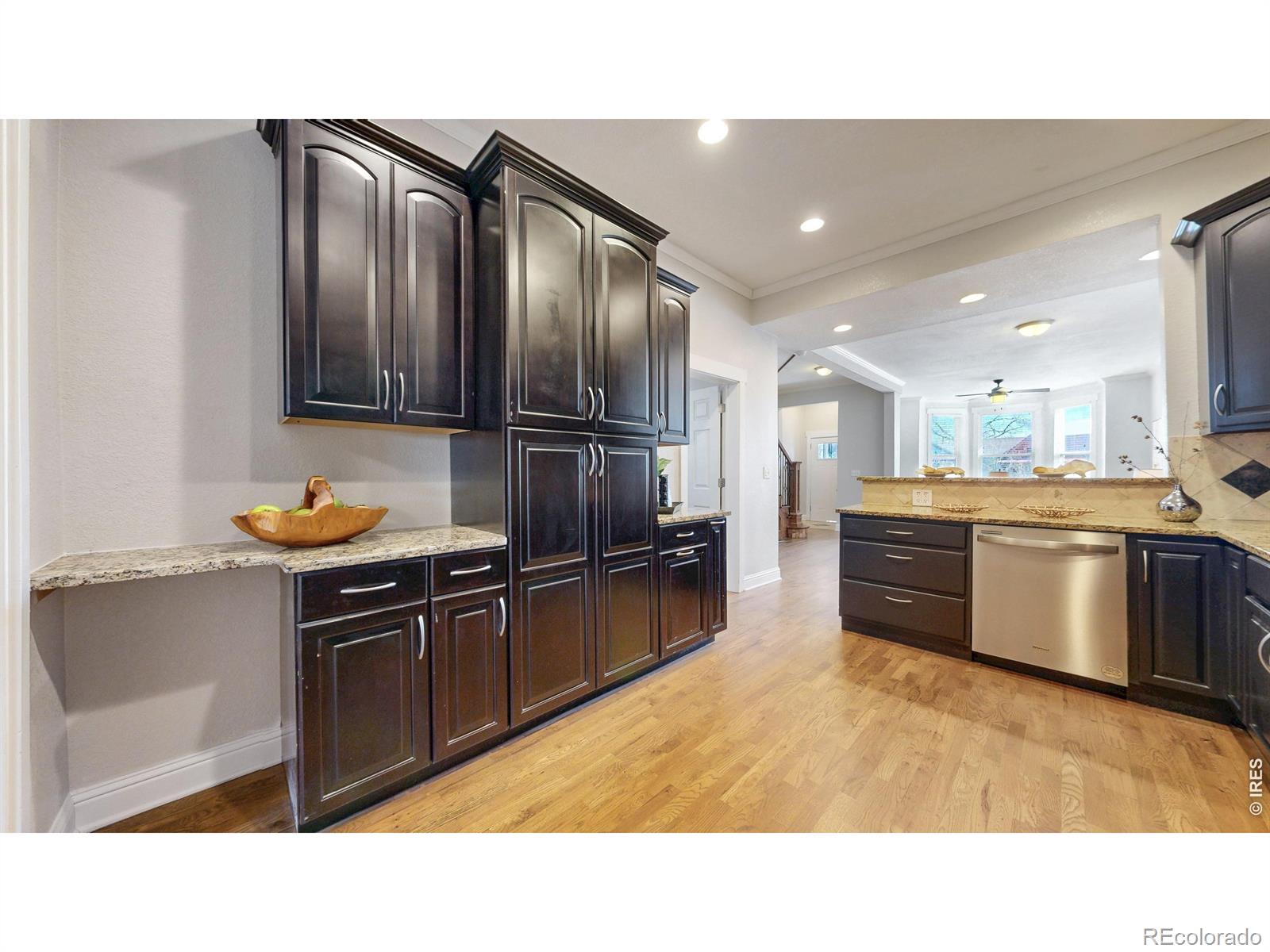 MLS Image #12 for 3931  osage street,denver, Colorado