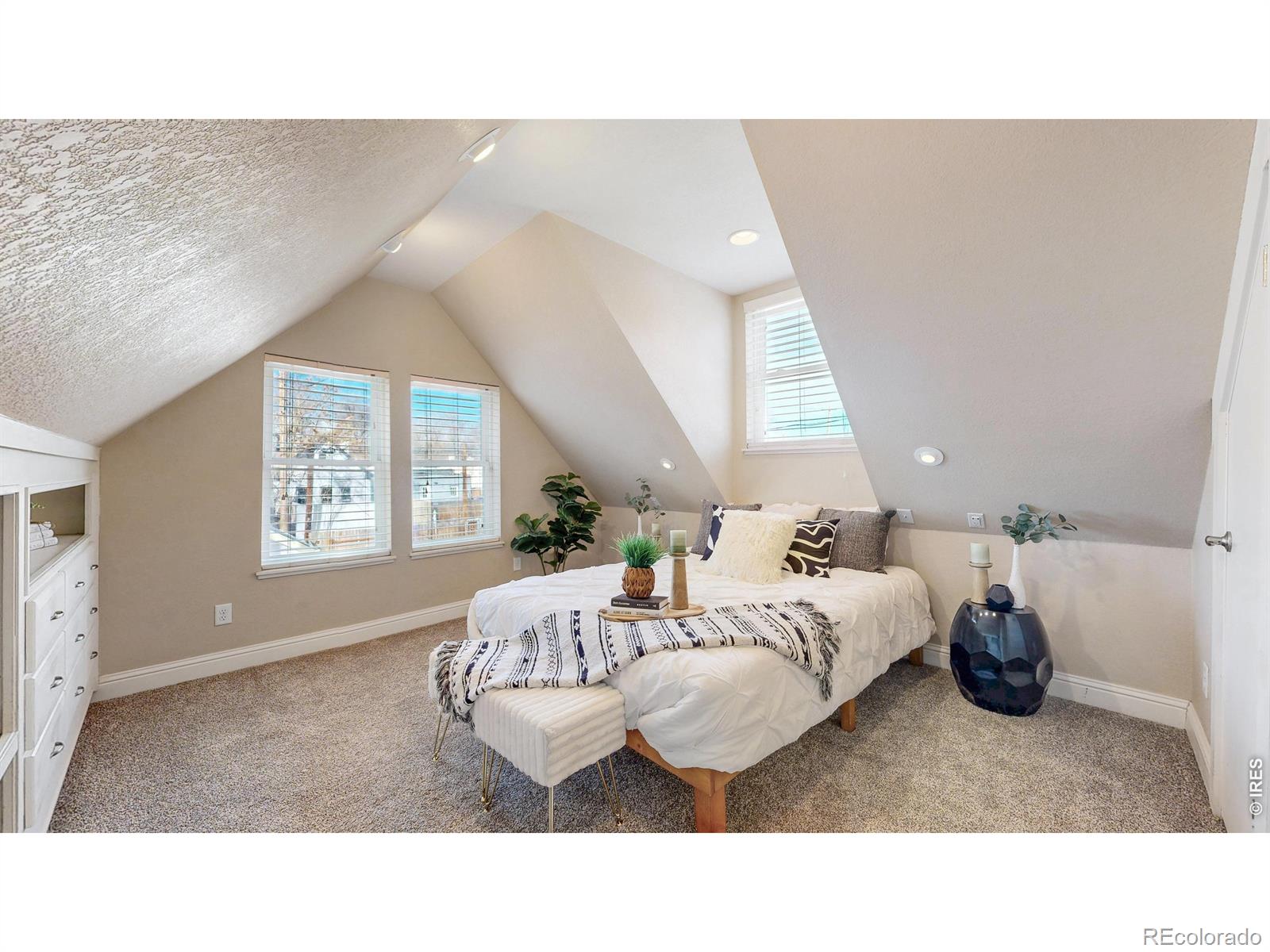 MLS Image #19 for 3931  osage street,denver, Colorado