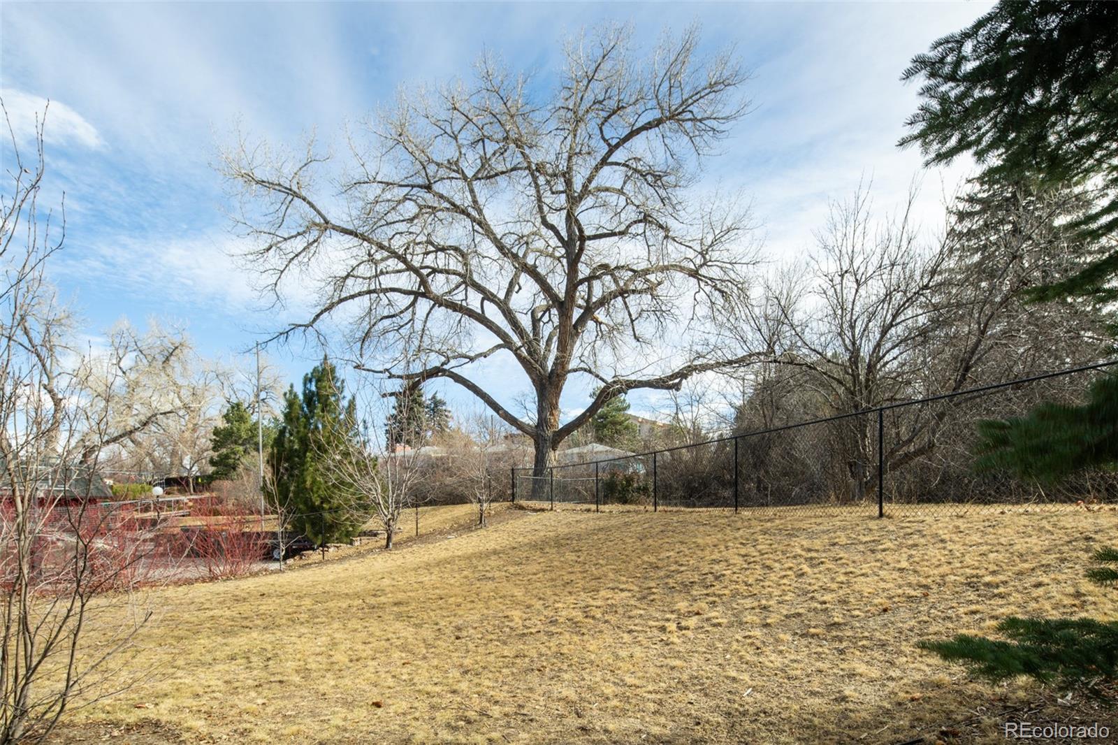 MLS Image #34 for 11702 w 21st place,lakewood, Colorado