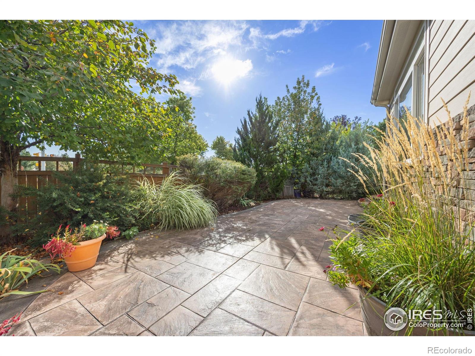 MLS Image #33 for 13380  red deer trail,broomfield, Colorado