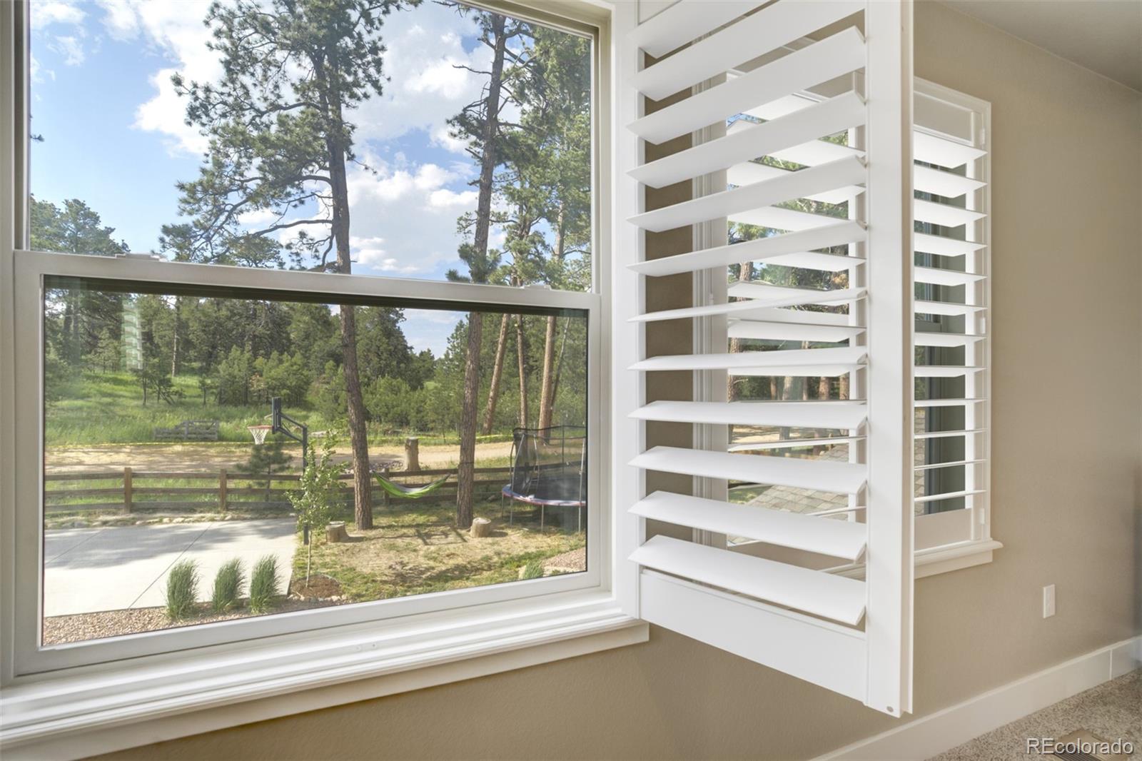 MLS Image #20 for 1716  catnap lane,monument, Colorado