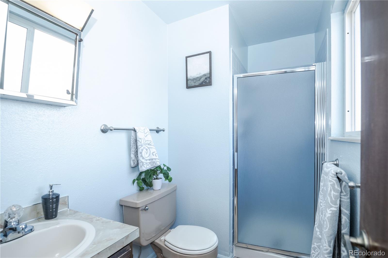MLS Image #19 for 7378  coors street,arvada, Colorado