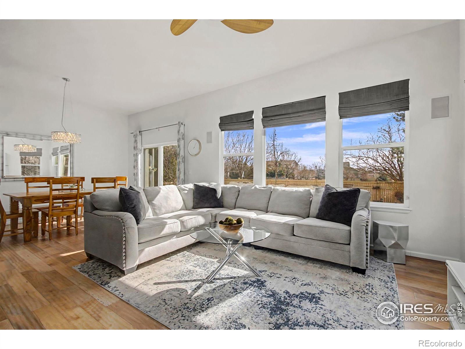 MLS Image #13 for 3815  cosmos lane,fort collins, Colorado