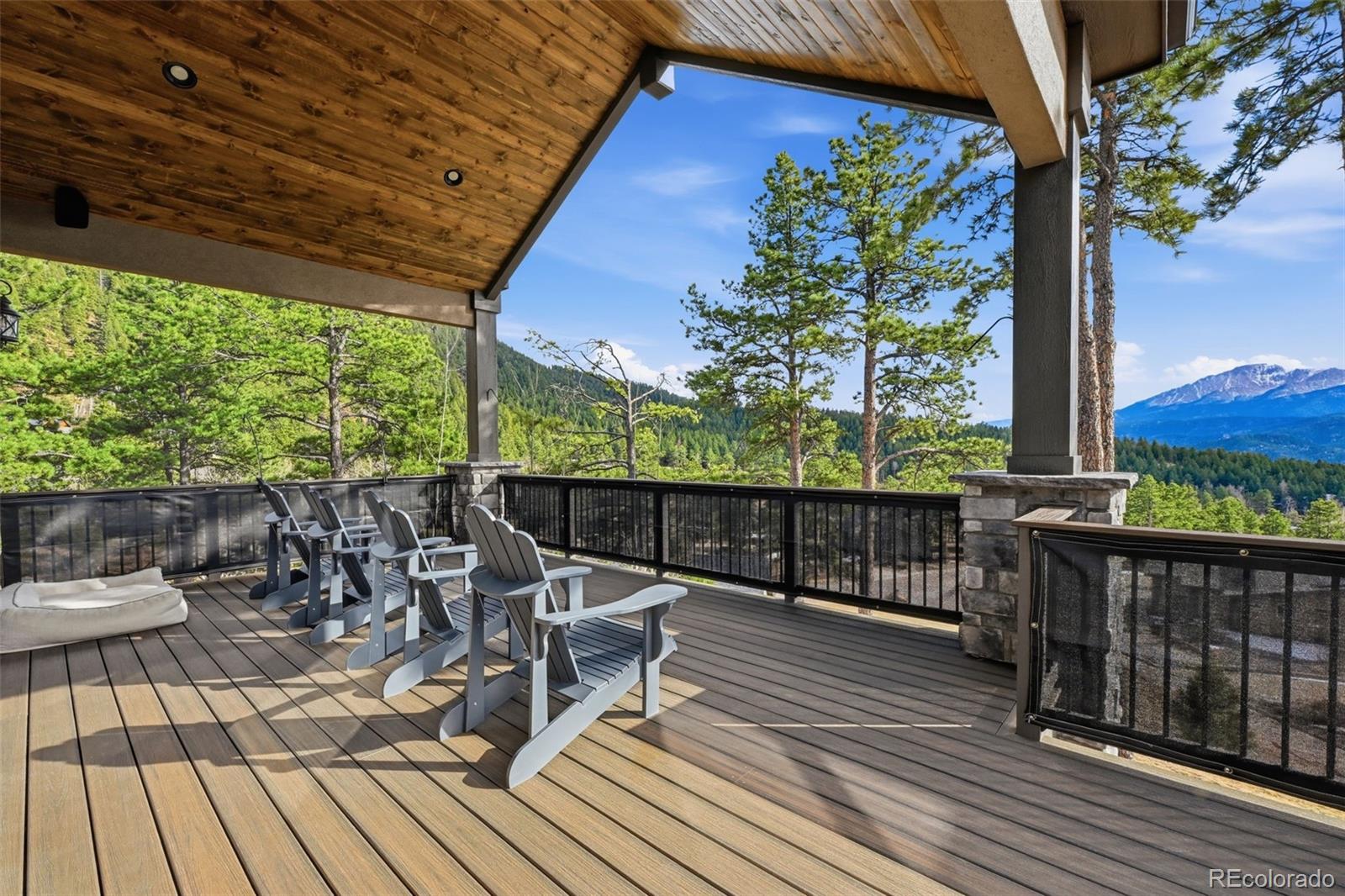 MLS Image #21 for 321  thunder ridge drive,woodland park, Colorado