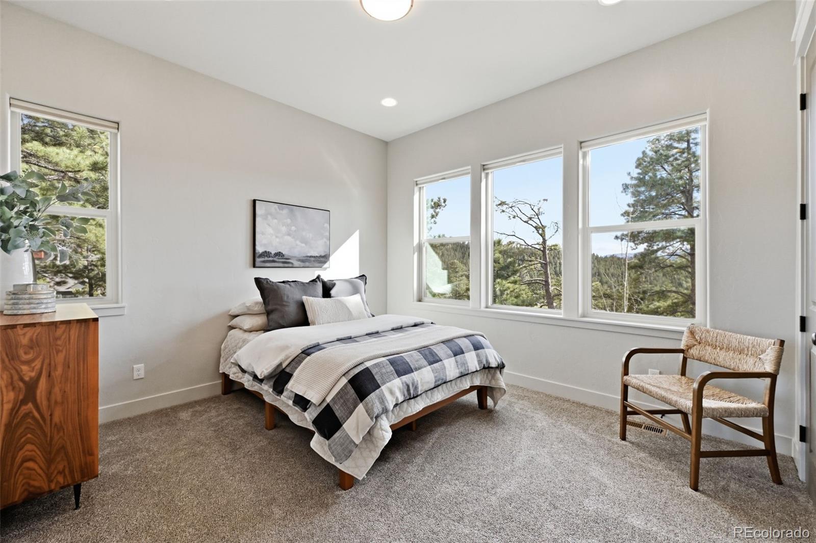 MLS Image #34 for 321  thunder ridge drive,woodland park, Colorado