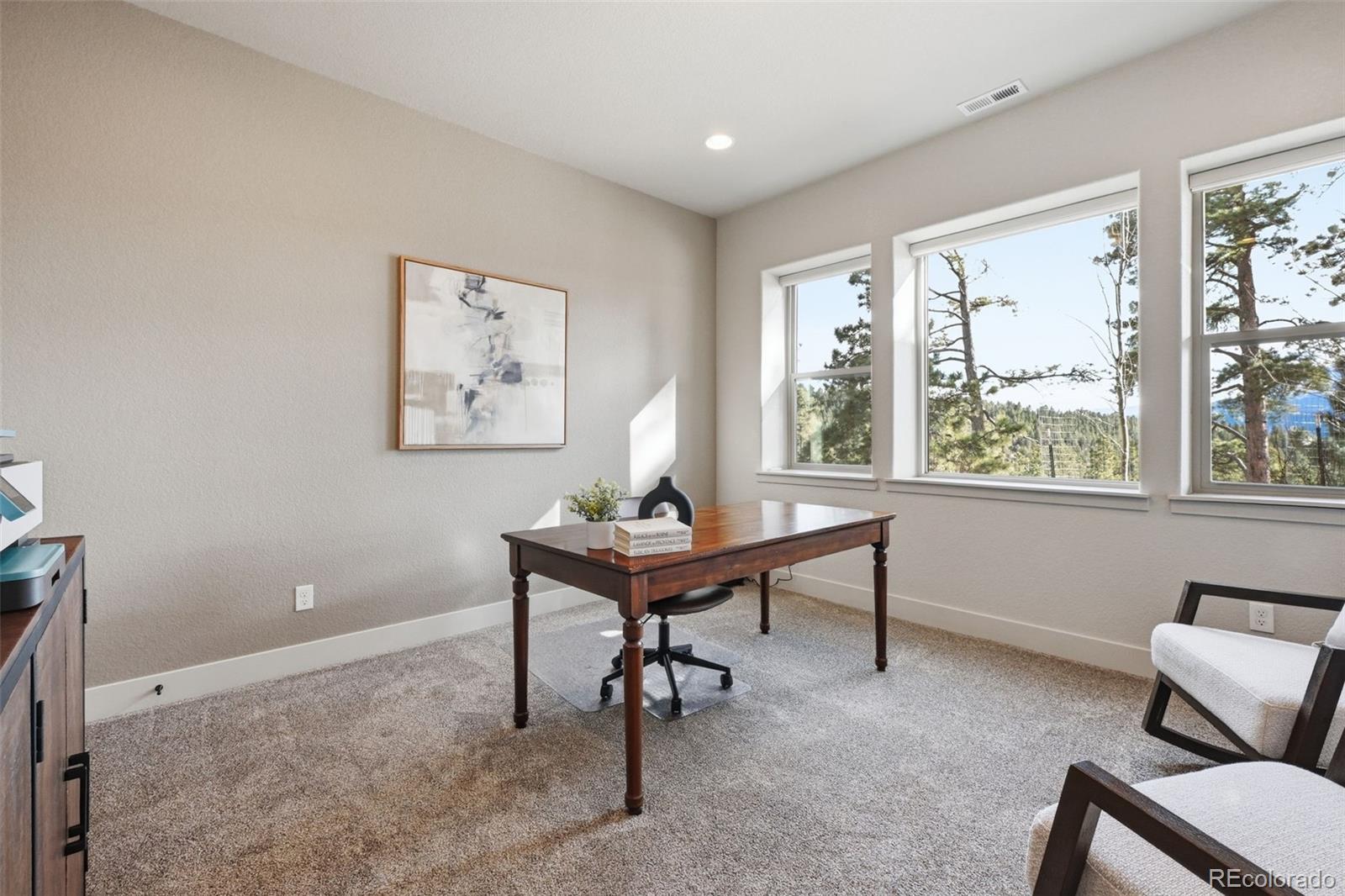 MLS Image #44 for 321  thunder ridge drive,woodland park, Colorado