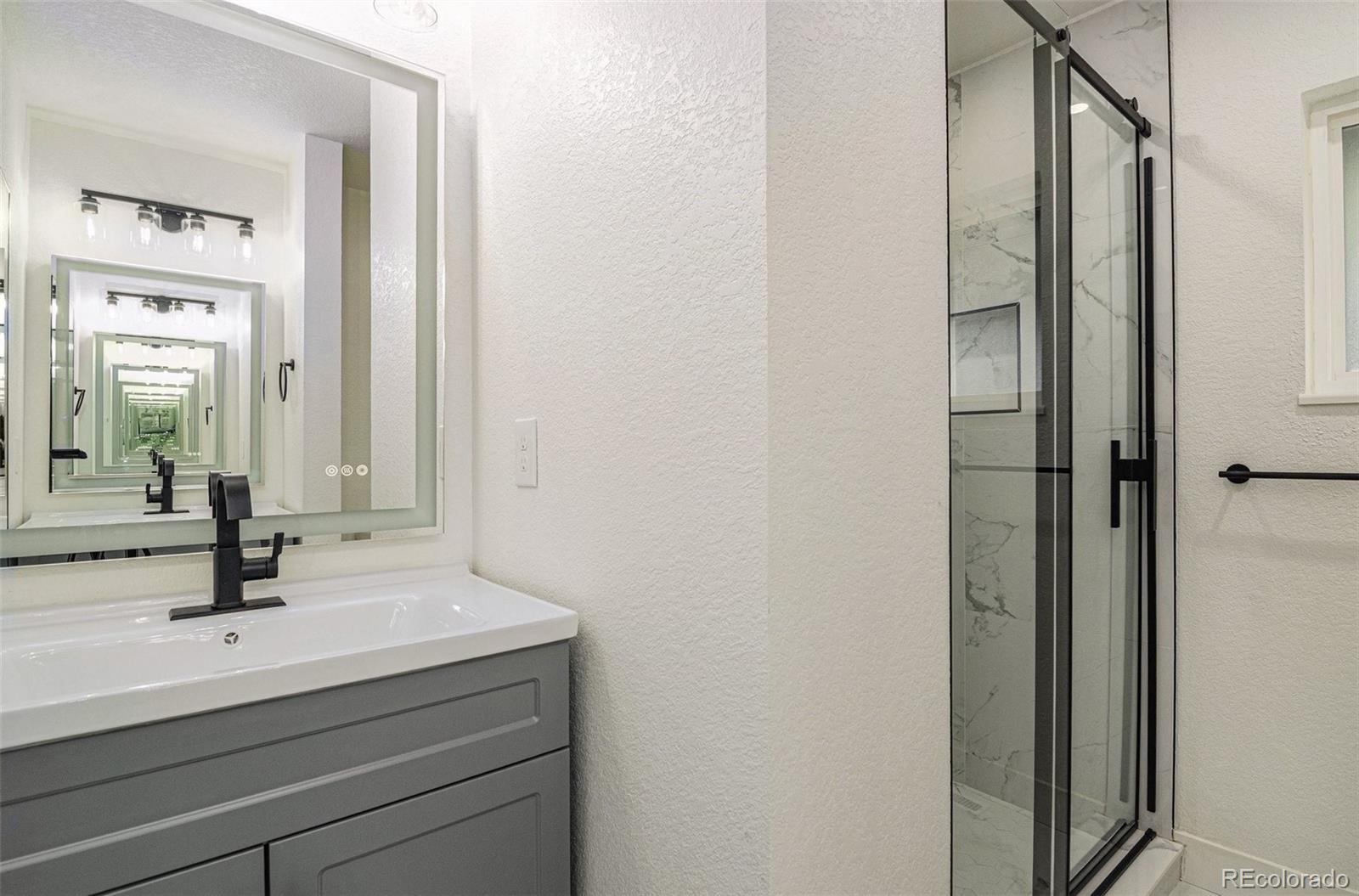 MLS Image #14 for 3005 s norman court,denver, Colorado
