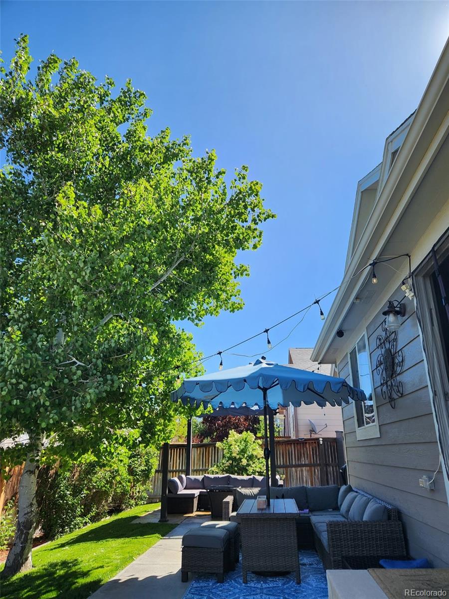 MLS Image #16 for 16283 e 104th way,commerce city, Colorado