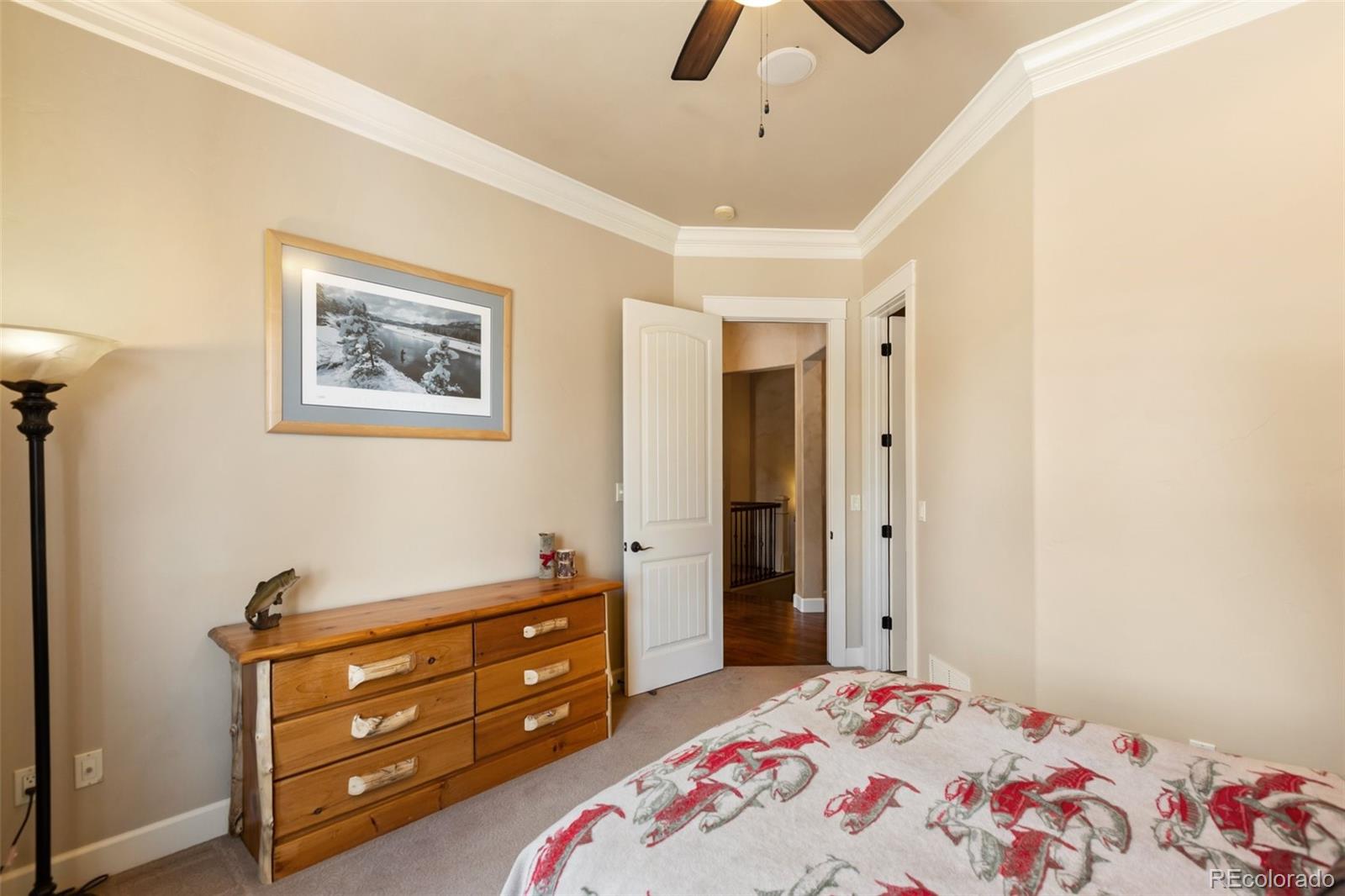 MLS Image #23 for 1484  masters drive,woodland park, Colorado