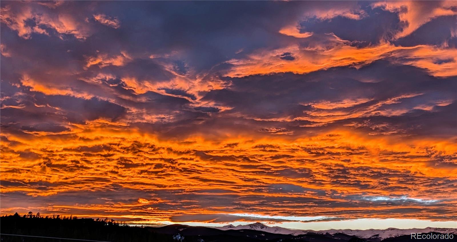 MLS Image #7 for 401  highway 72 ,golden, Colorado