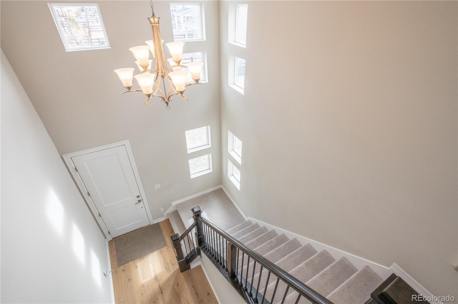 MLS Image #11 for 295  lovejoy circle,castle rock, Colorado