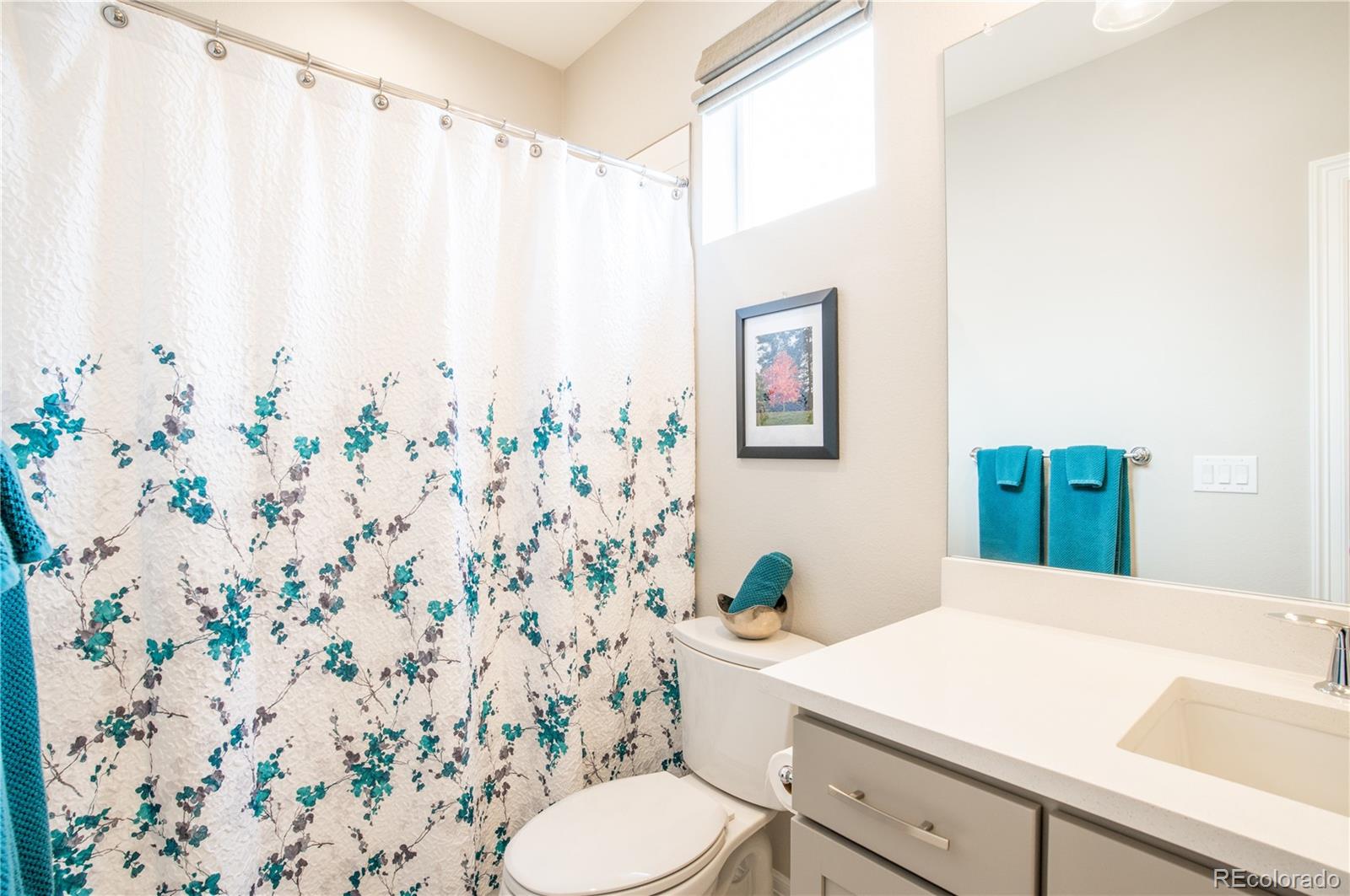 MLS Image #20 for 295  lovejoy circle,castle rock, Colorado