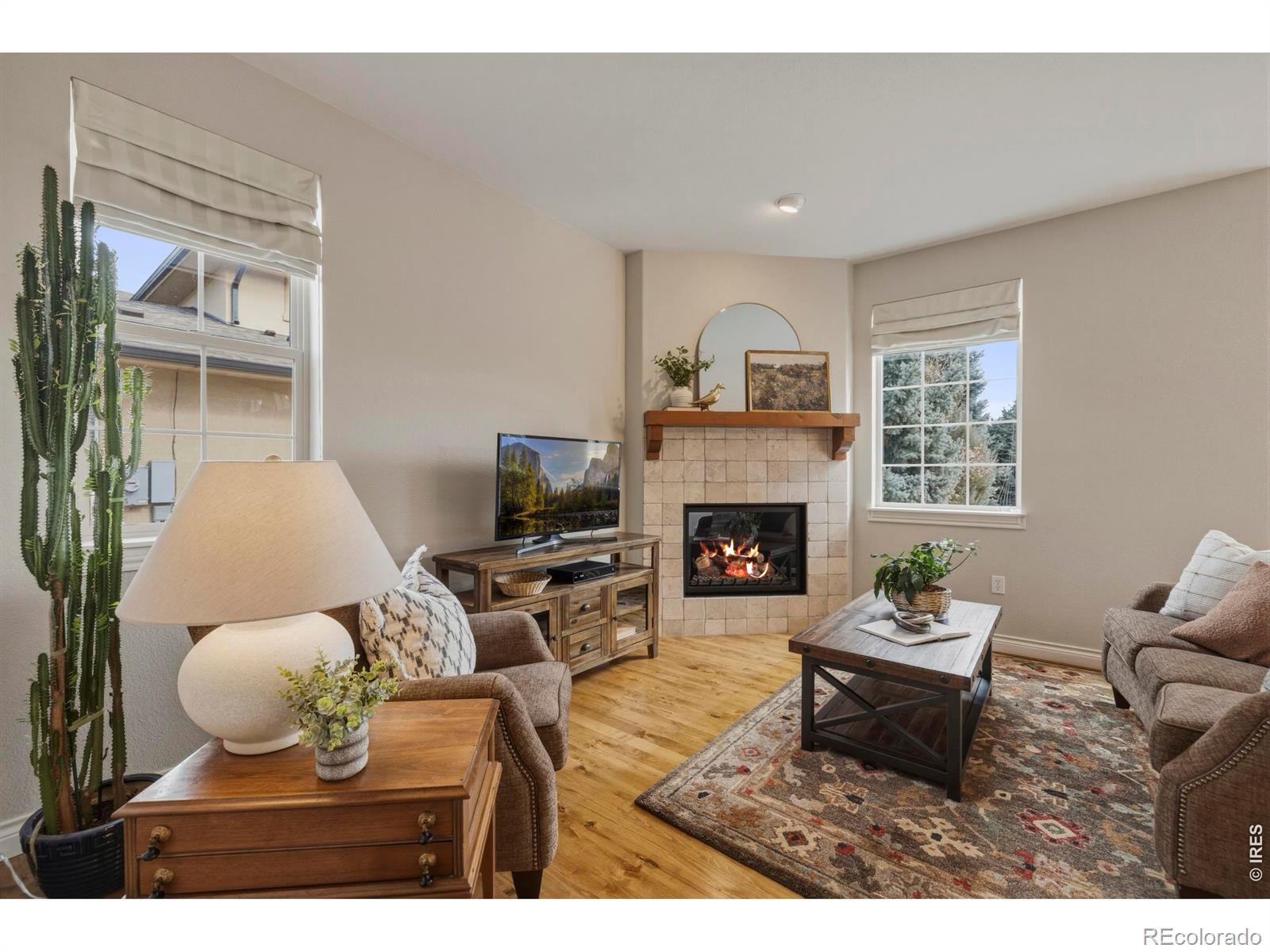 MLS Image #20 for 1705  stardance circle,longmont, Colorado