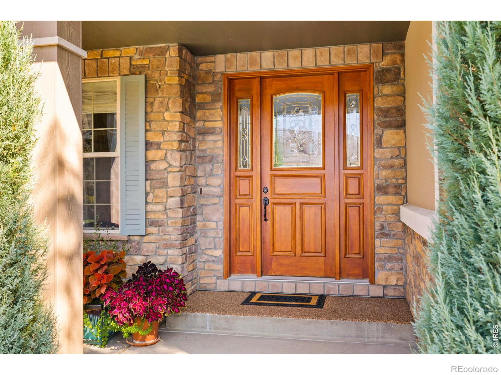 MLS Image #3 for 1705  stardance circle,longmont, Colorado