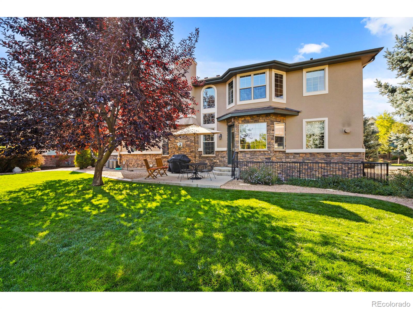 MLS Image #44 for 1705  stardance circle,longmont, Colorado