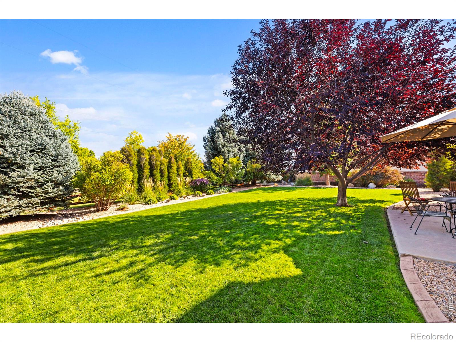 MLS Image #47 for 1705  stardance circle,longmont, Colorado