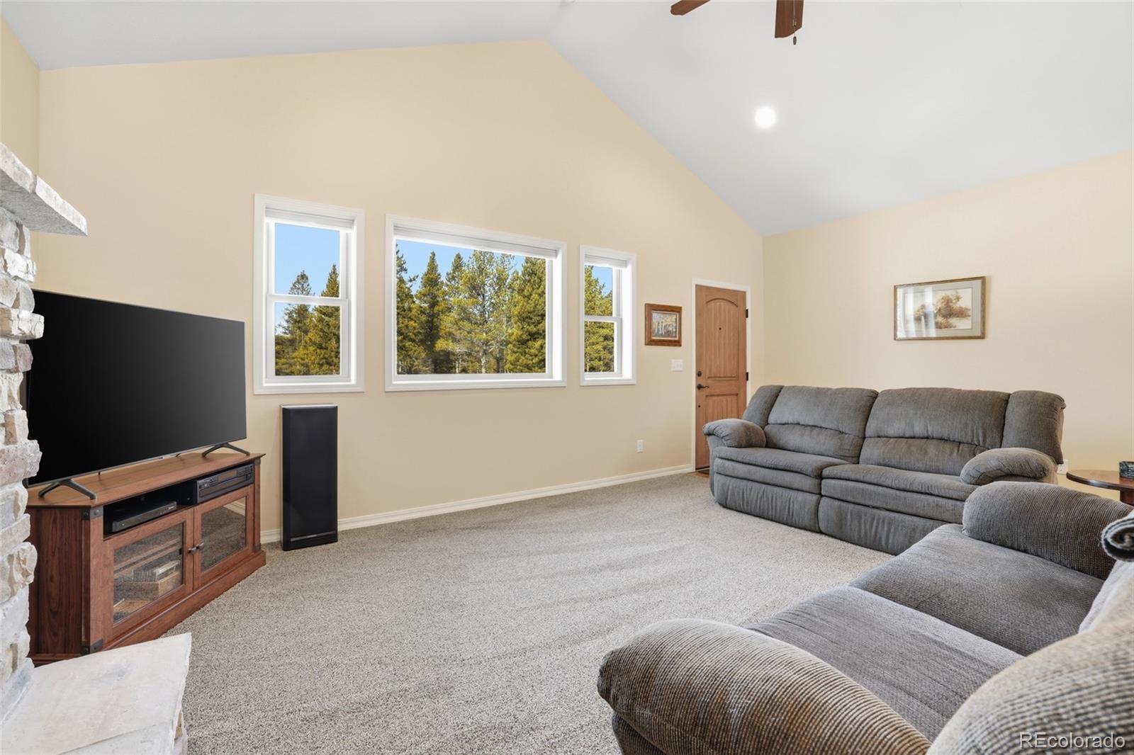 MLS Image #10 for 560  alpine cirque ,leadville, Colorado