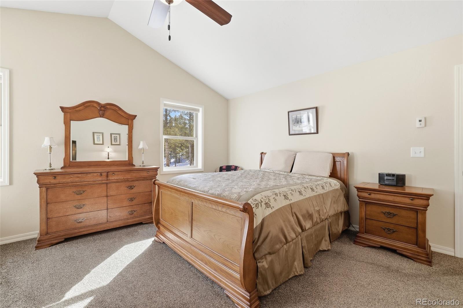 MLS Image #12 for 560  alpine cirque ,leadville, Colorado