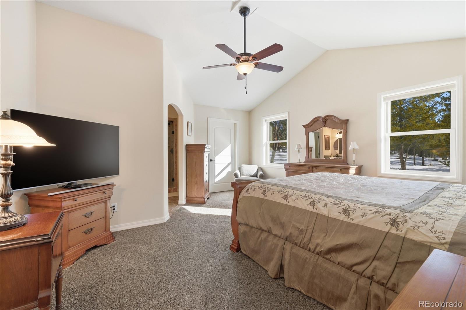 MLS Image #17 for 560  alpine cirque ,leadville, Colorado