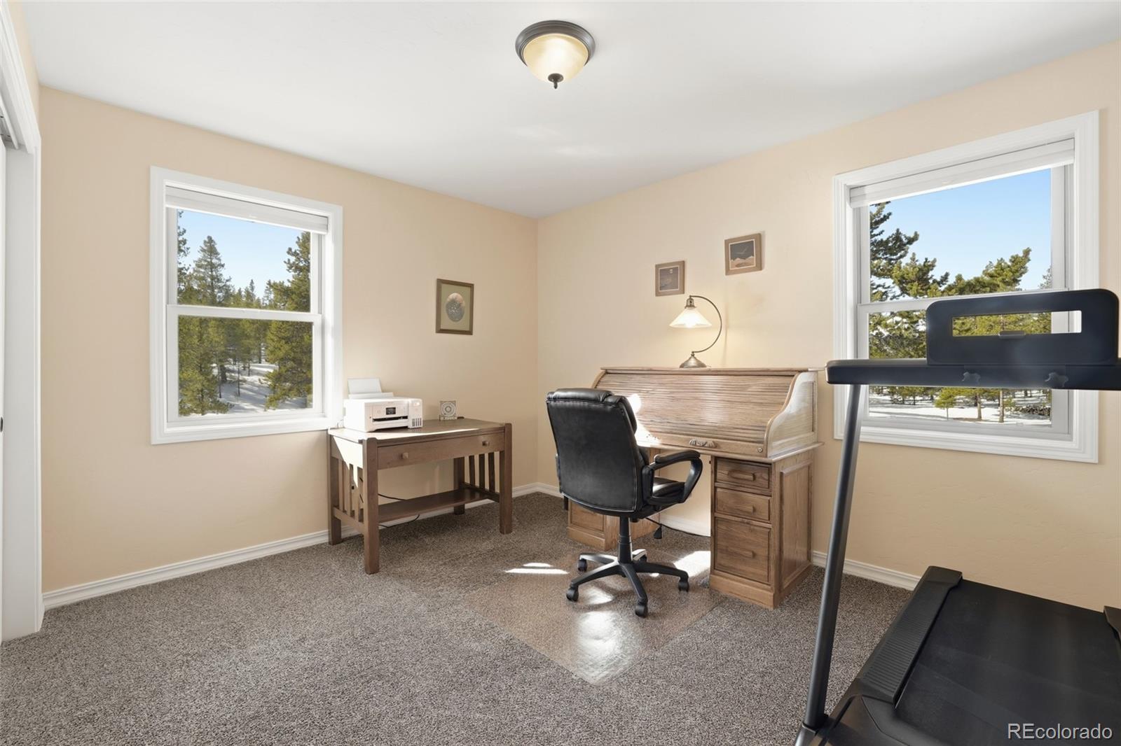 MLS Image #25 for 560  alpine cirque ,leadville, Colorado