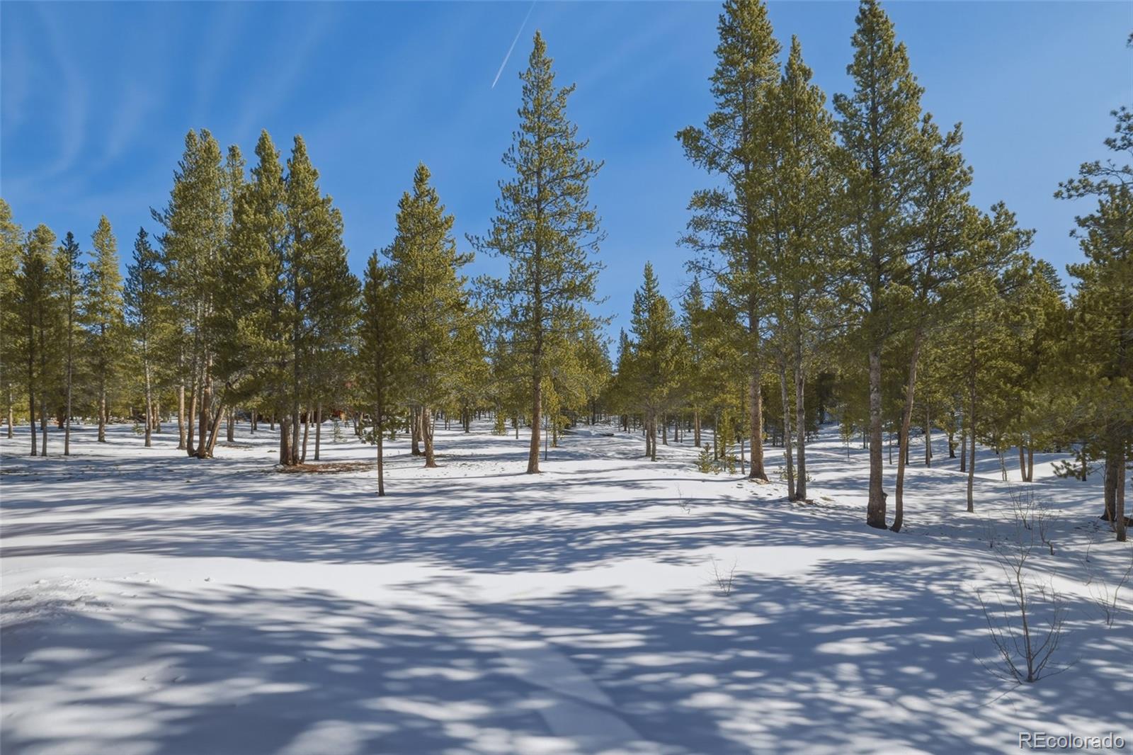 MLS Image #32 for 560  alpine cirque ,leadville, Colorado