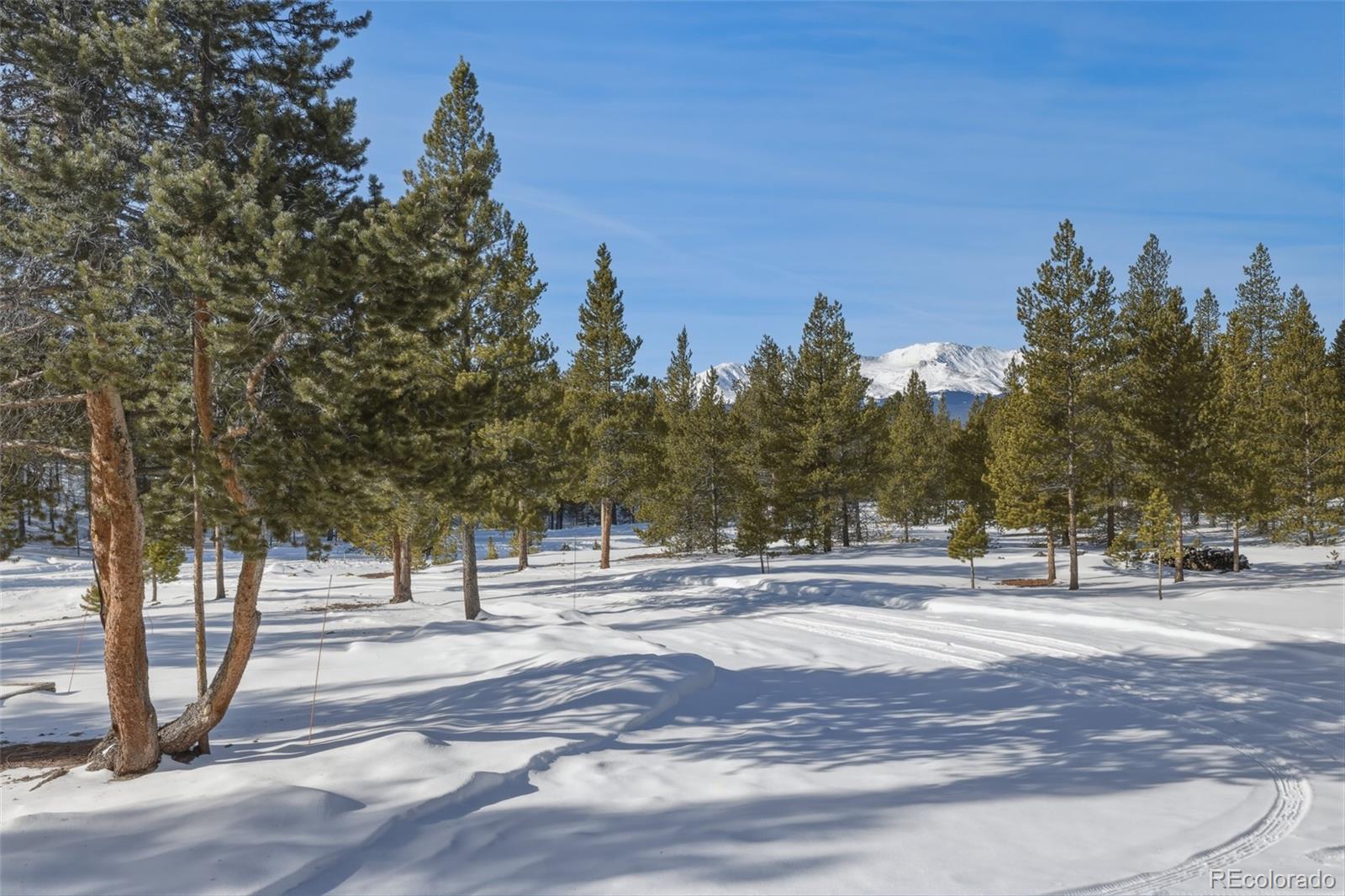 MLS Image #34 for 560  alpine cirque ,leadville, Colorado