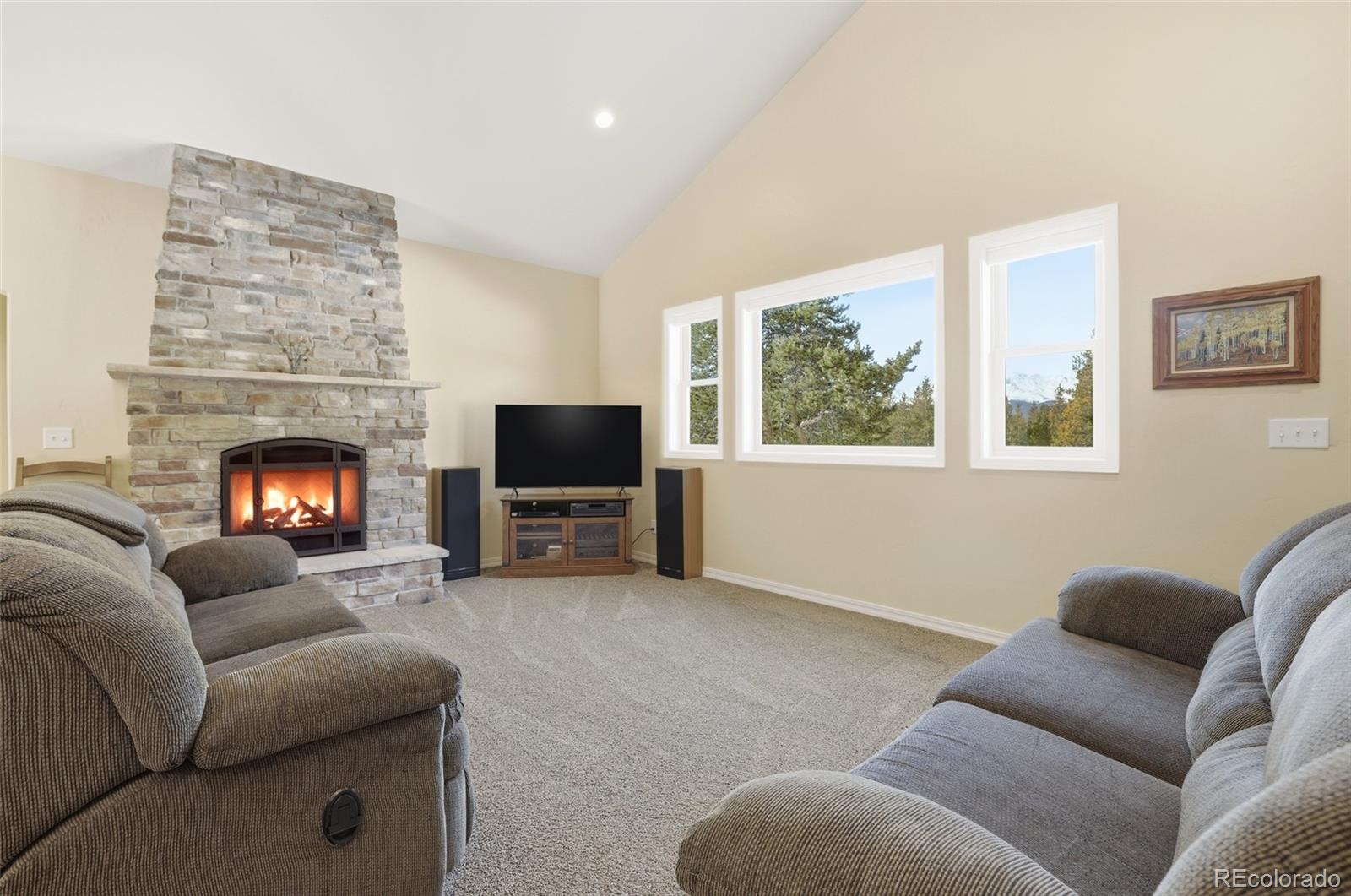 MLS Image #4 for 560  alpine cirque ,leadville, Colorado