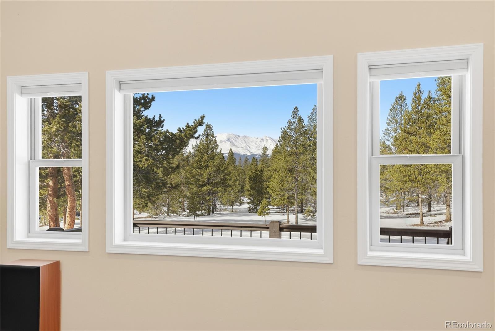 MLS Image #5 for 560  alpine cirque ,leadville, Colorado