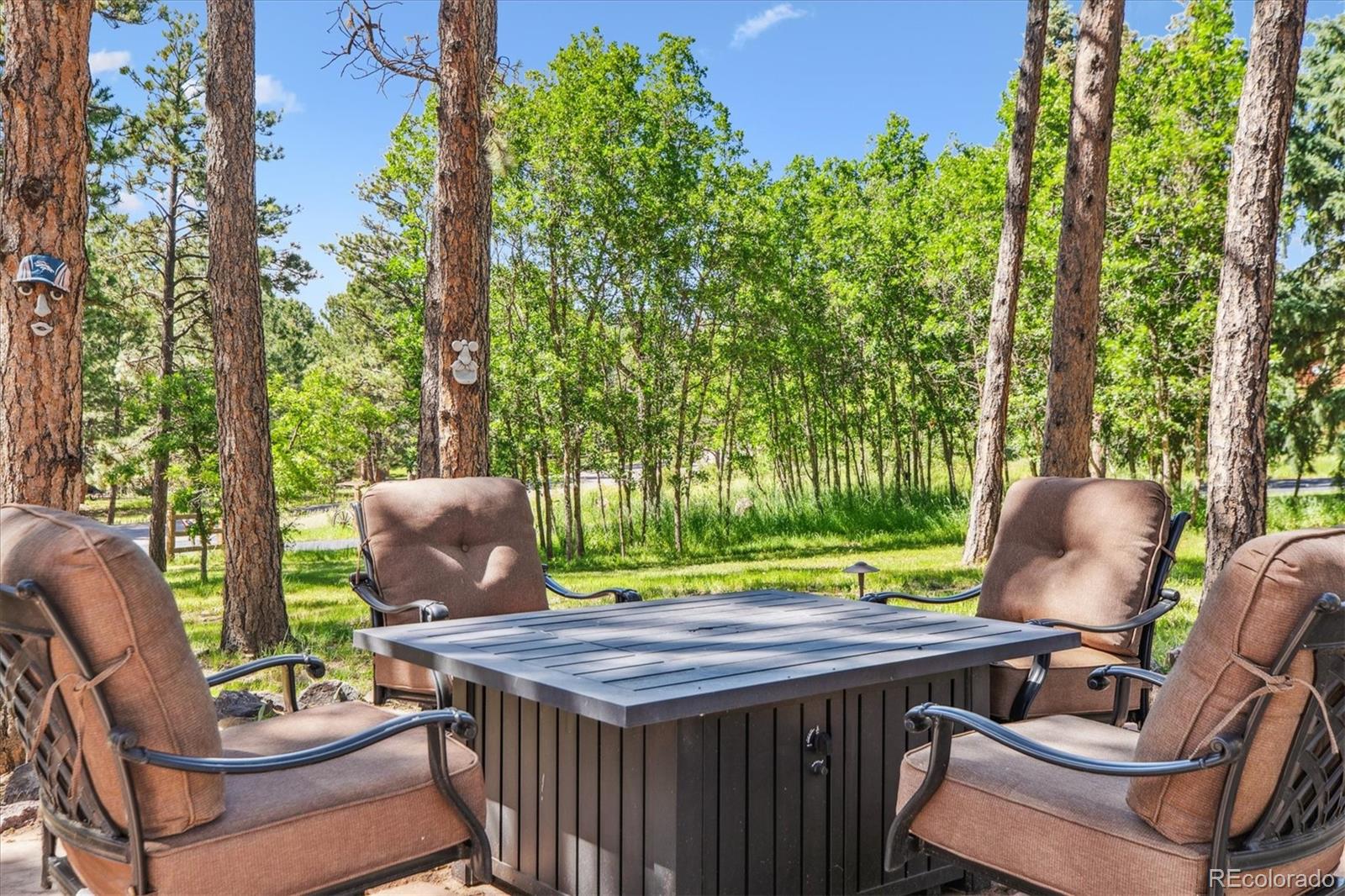 MLS Image #31 for 18971  shadowood drive,monument, Colorado