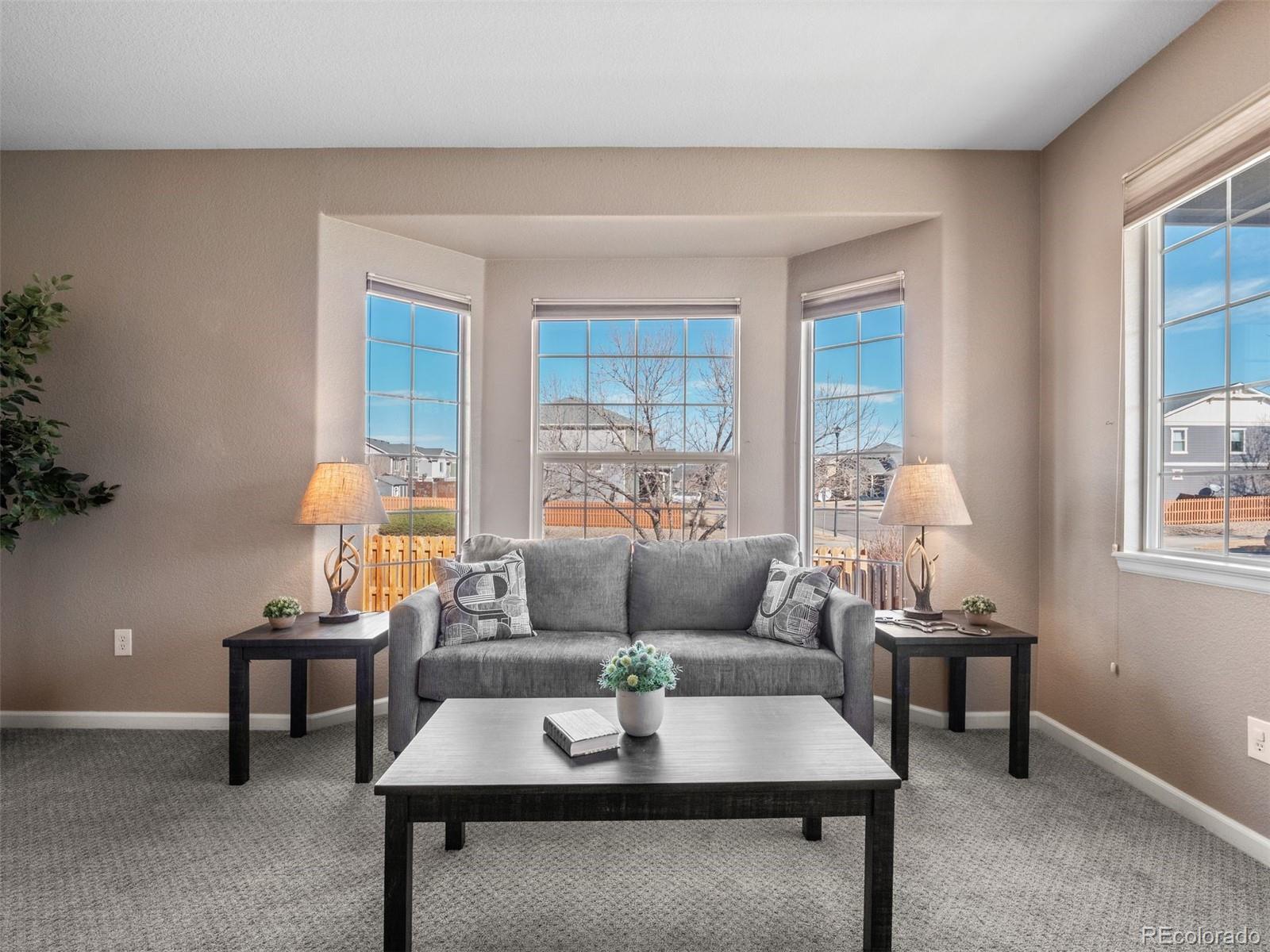 MLS Image #4 for 10597  worchester street,commerce city, Colorado