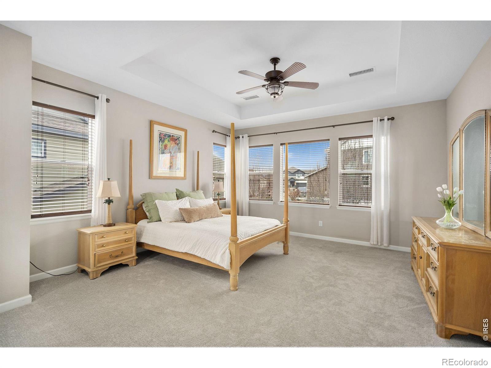 MLS Image #19 for 2415  bluestem willow drive,loveland, Colorado