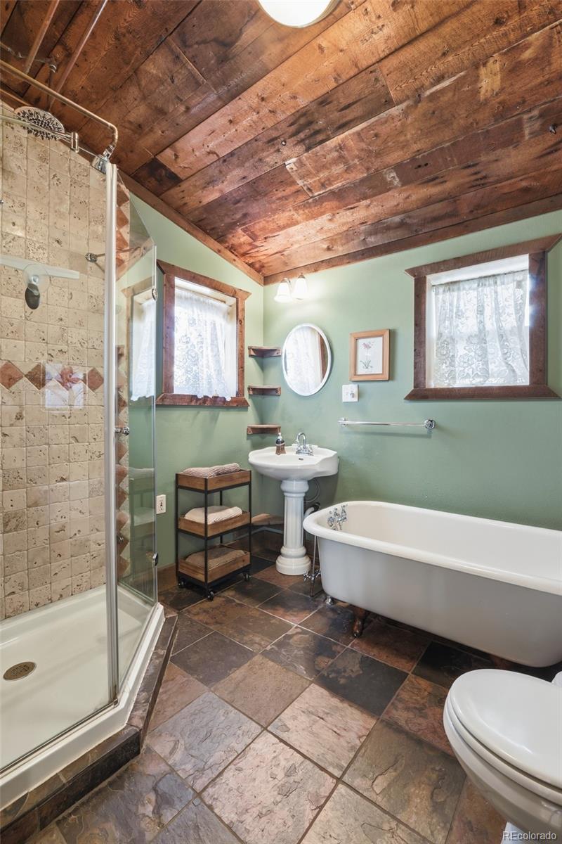 MLS Image #13 for 144 w 7th street,leadville, Colorado