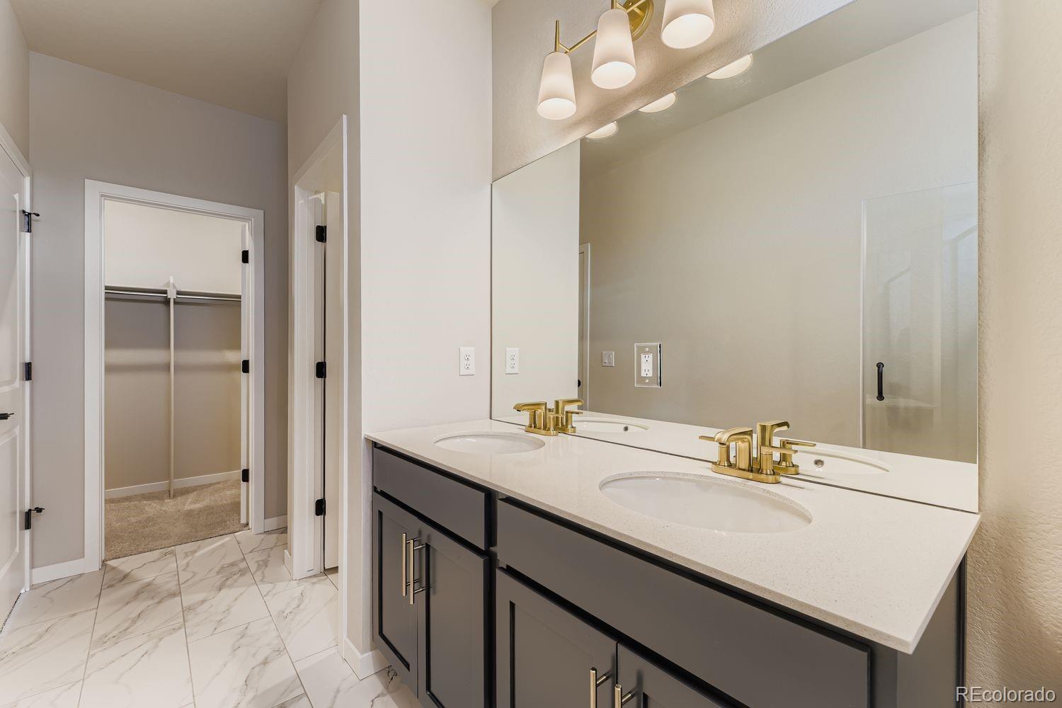 MLS Image #13 for 13784  daffodil way,parker, Colorado