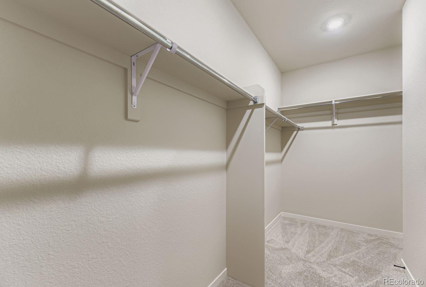 MLS Image #14 for 13784  daffodil way,parker, Colorado