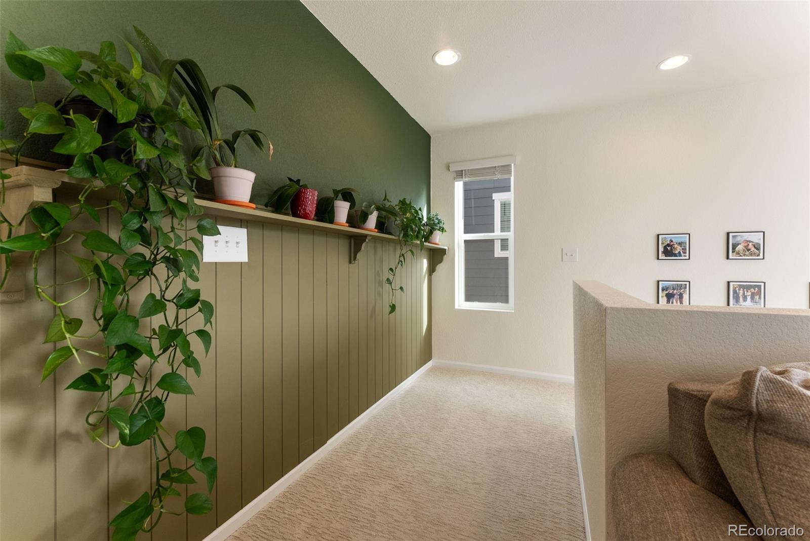 MLS Image #18 for 6229  bodacious circle,colorado springs, Colorado