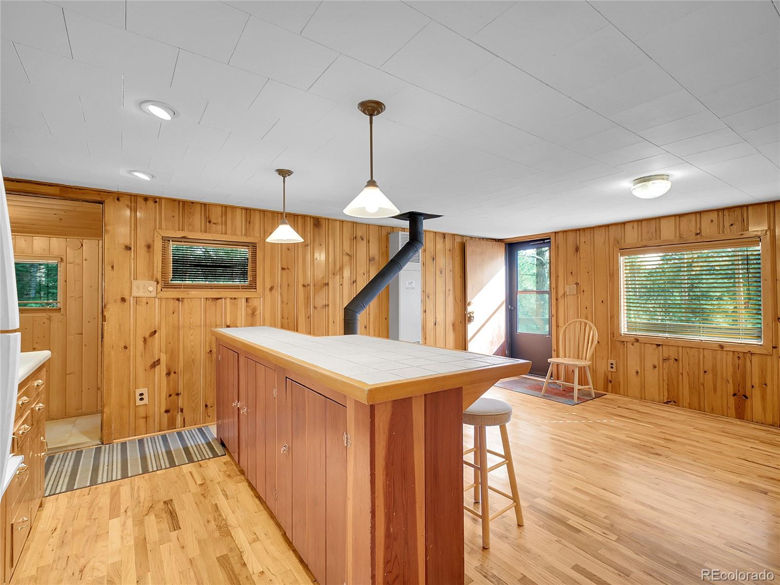MLS Image #11 for 26731  vosler street,conifer, Colorado