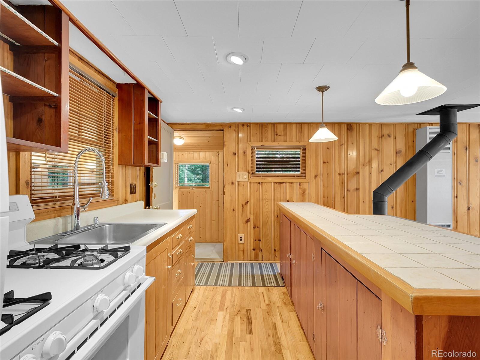 MLS Image #14 for 26731  vosler street,conifer, Colorado