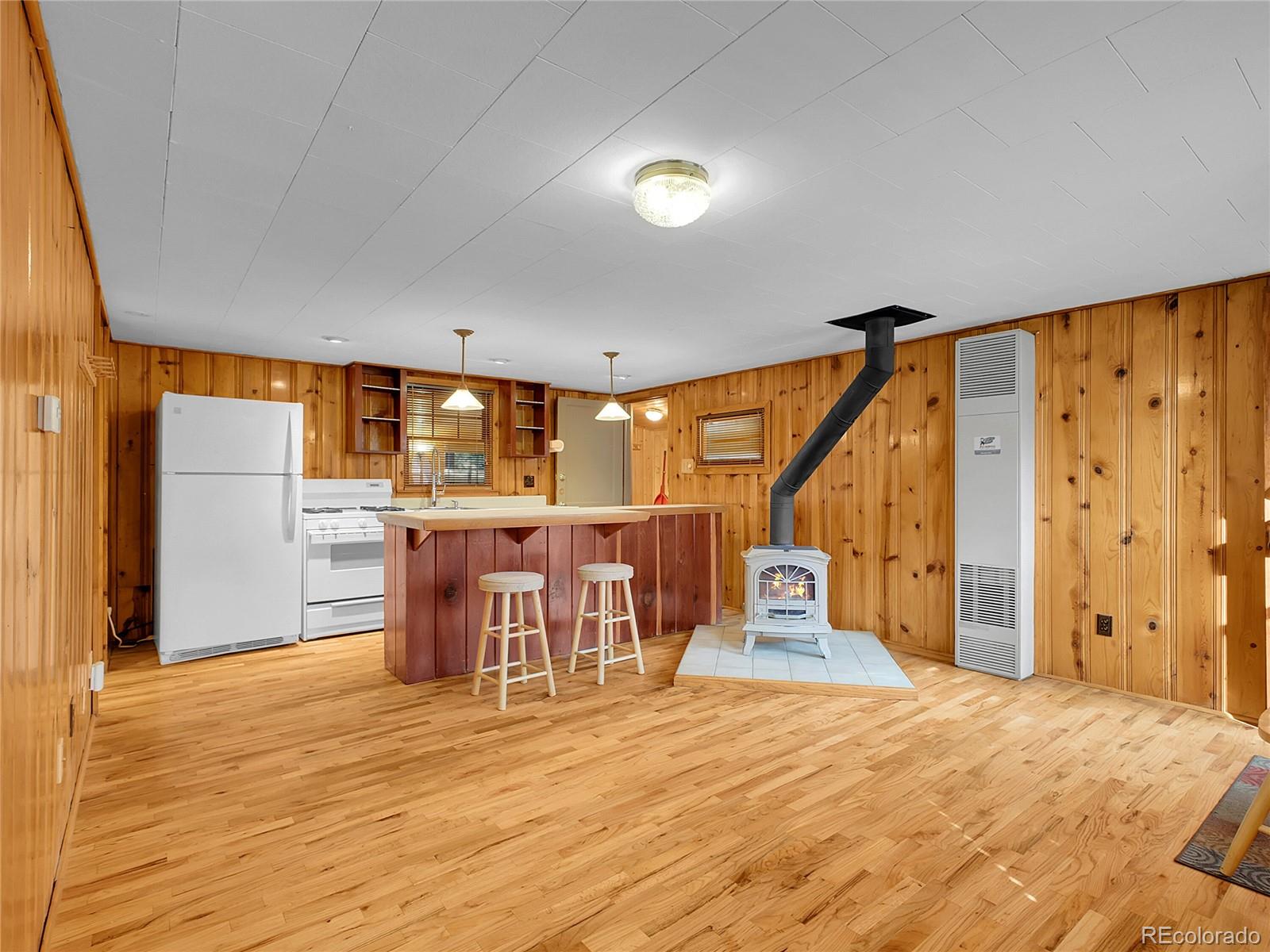 MLS Image #7 for 26731  vosler street,conifer, Colorado