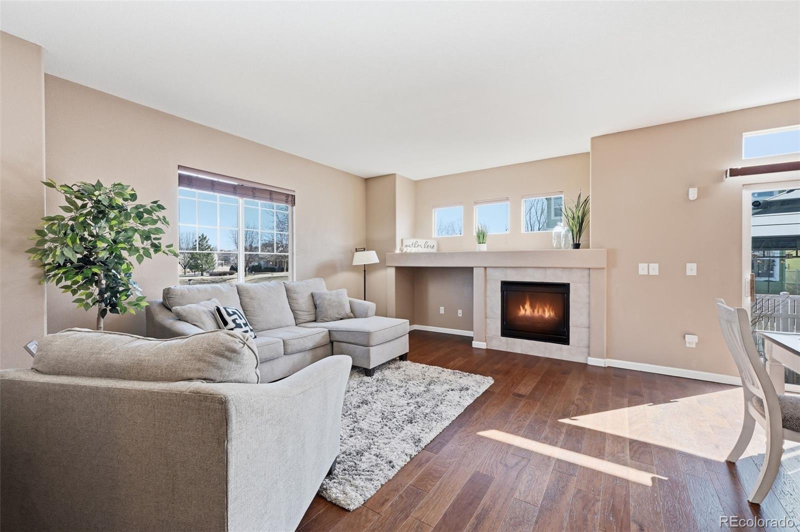 MLS Image #1 for 4727  lucca drive,longmont, Colorado