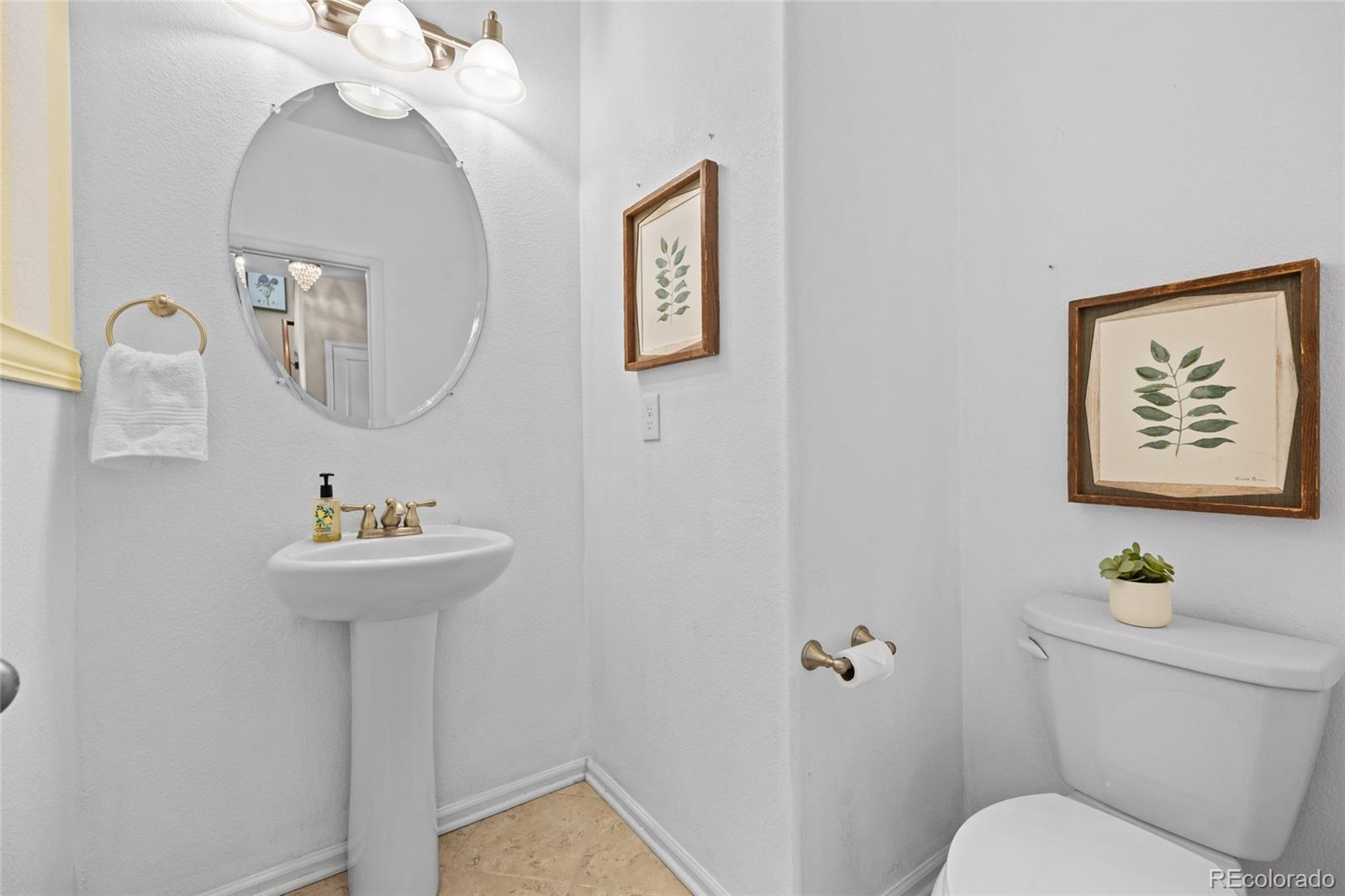 MLS Image #13 for 4526  grapevine way,castle rock, Colorado