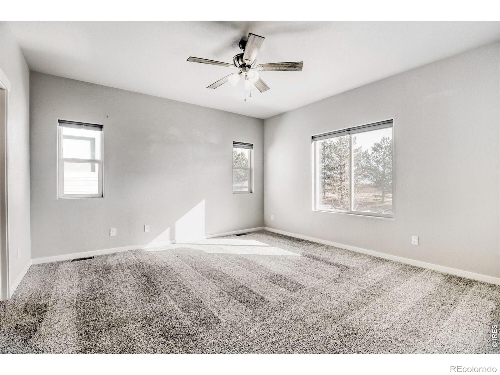 MLS Image #12 for 5009  hawtrey drive,windsor, Colorado