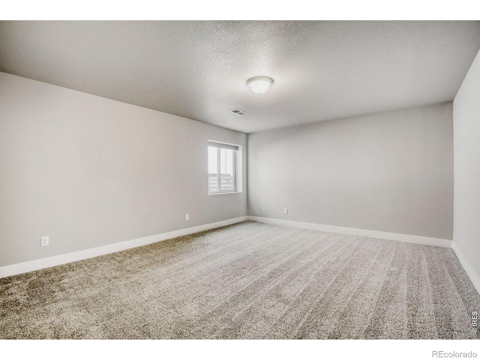 MLS Image #14 for 5009  hawtrey drive,windsor, Colorado