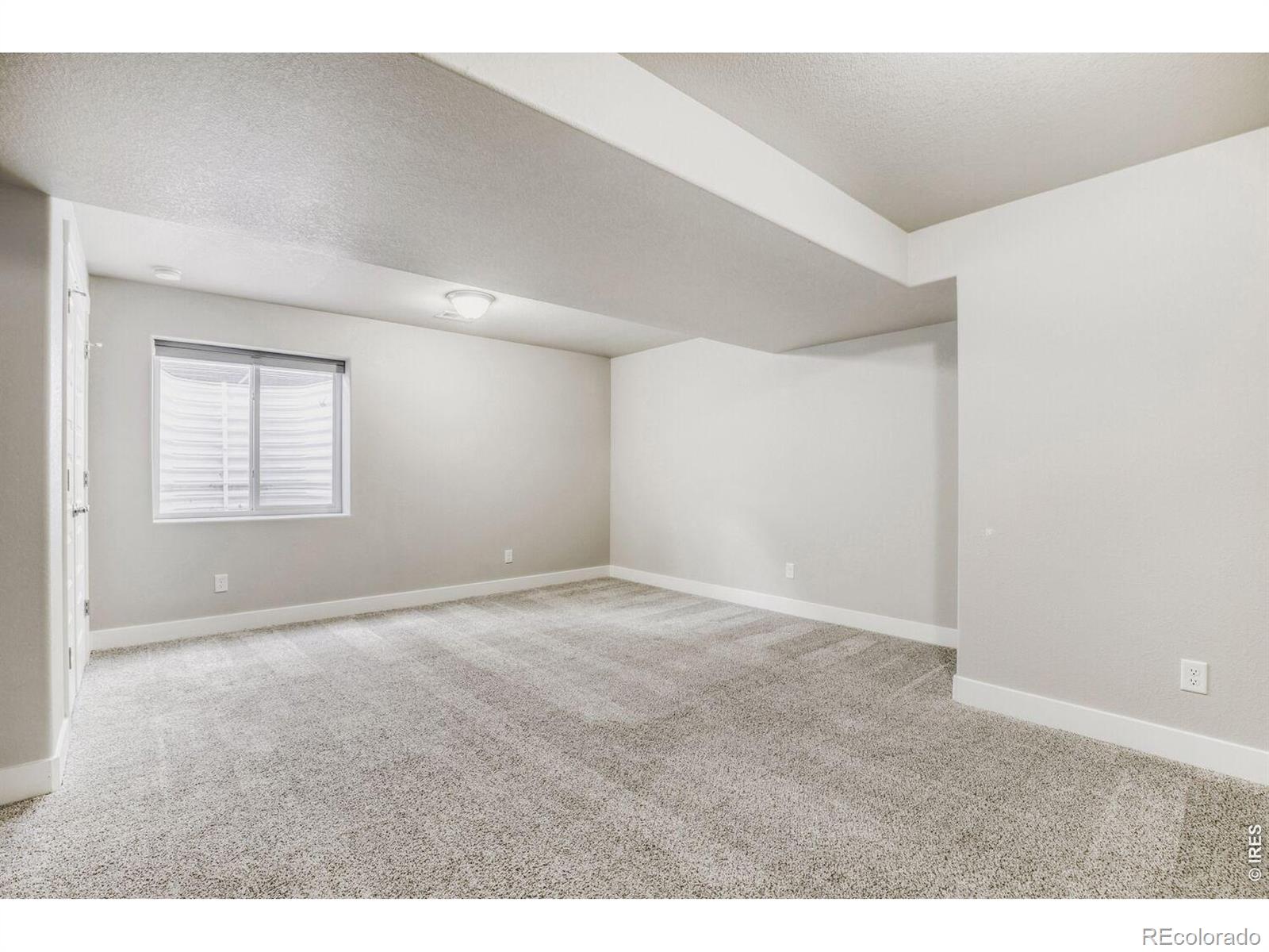 MLS Image #6 for 5009  hawtrey drive,windsor, Colorado