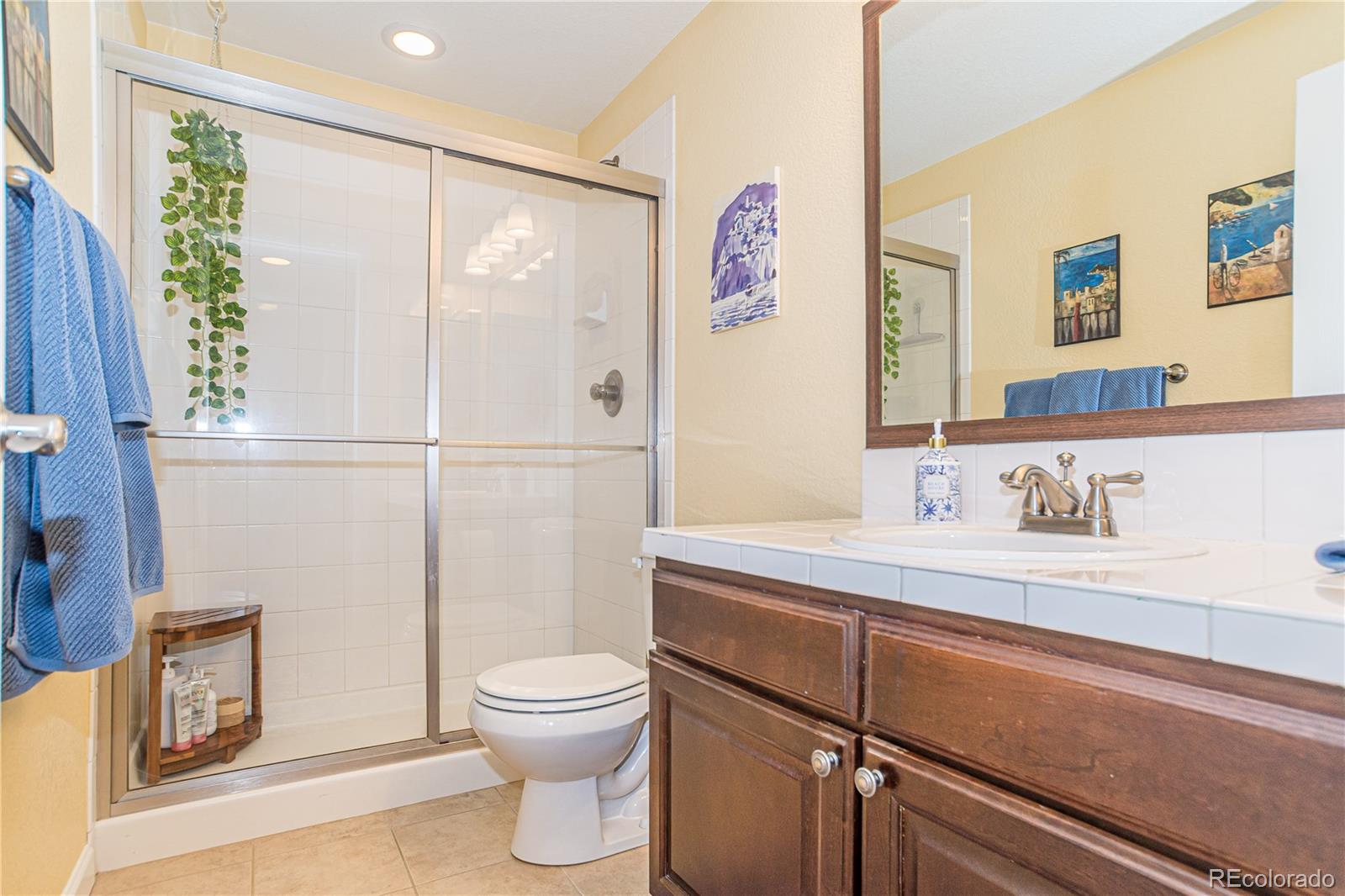 MLS Image #22 for 628  darby court,castle rock, Colorado